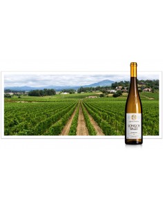 Quinta da Pedra Longos... 2