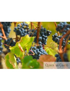 Quinta do Crasto Vinha da... 2