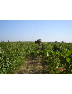 Vinha d'Ervideira Bio... 2