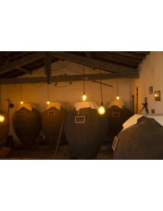 Herdade do Rocim Mariana... 2