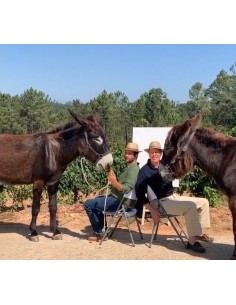 Boas Quintas Gandarada... 2