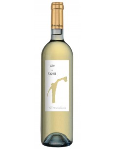 Alves de Sousa / Vale da...