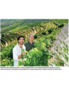 Real Companhia Velha 20 ans... 2